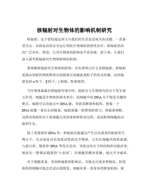 核辐射对生物体的影响机制研究