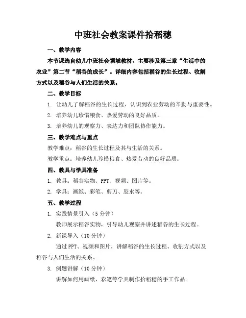 中班社会教案课件拾稻穗