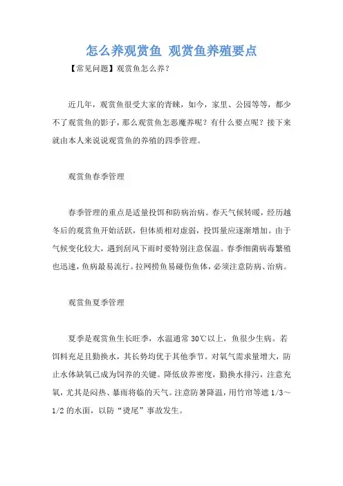怎么养观赏鱼 观赏鱼养殖要点