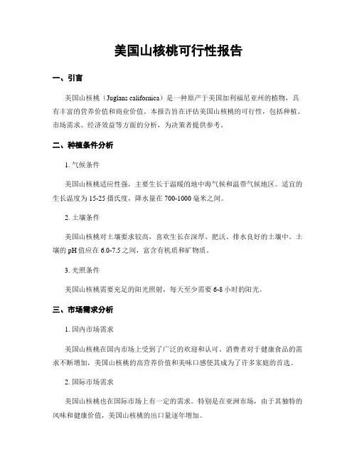 美国山核桃可行性报告