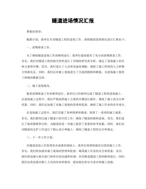 隧道进场情况汇报