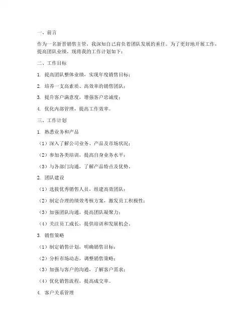 新晋销售主管工作计划