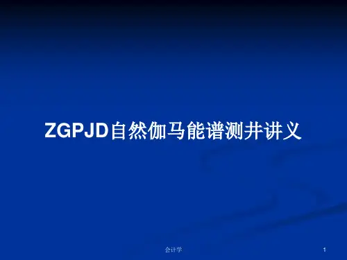 ZGPJD自然伽马能谱测井讲义PPT教案学习