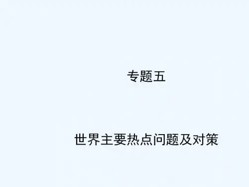 山东省枣庄市2018年中考地理 专题五 世界主要热点问题及对策