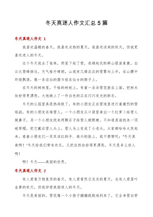 冬天真迷人作文汇总5篇