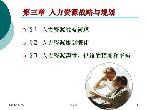 人力资源战略与规划(ppt文档)