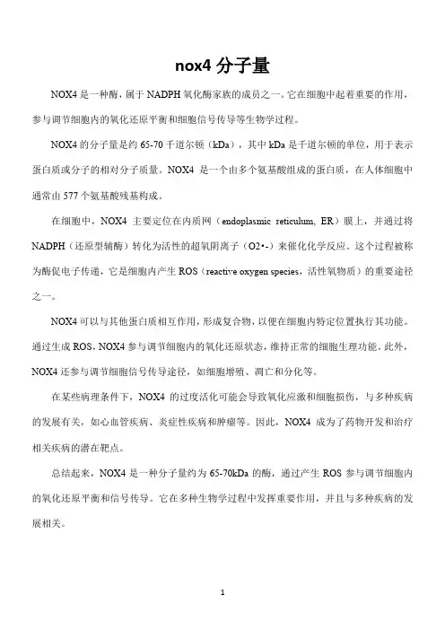 nox4分子量