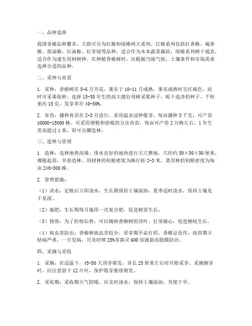 香椿树的种植管理技术