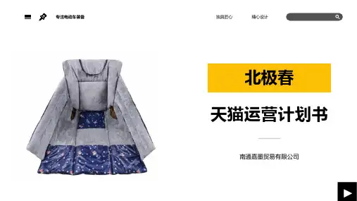 入驻天猫运营计划书