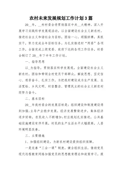 农村未来发展规划工作计划3篇