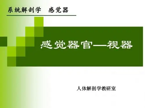 18.视器