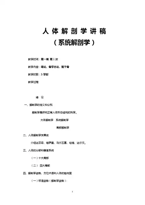系统解剖学讲稿