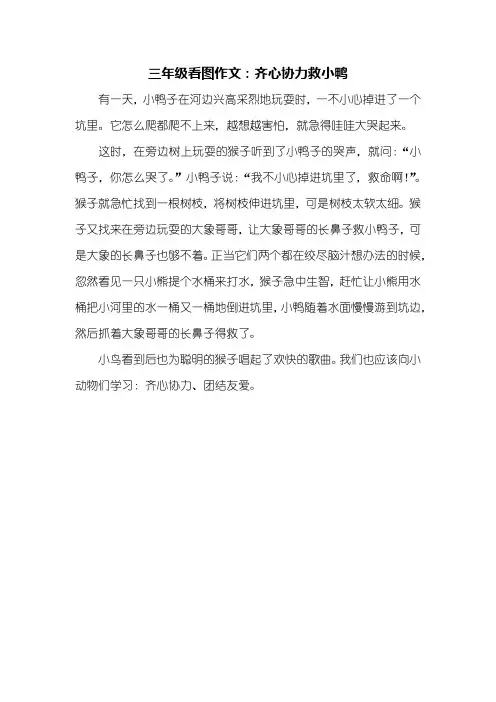 三年级看图作文_齐心协力救小鸭_350字