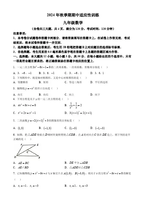 广西壮族自治区玉林市北流市2024-2025学年九年级上学期11月期中数学试题(含答案)
