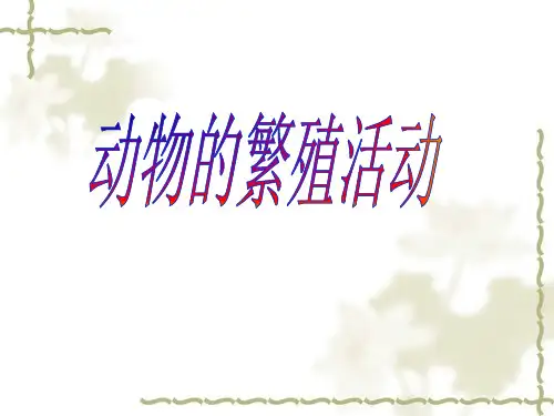 《动物的繁殖活动》课件(新版教科版小学科学四年级下册课件)