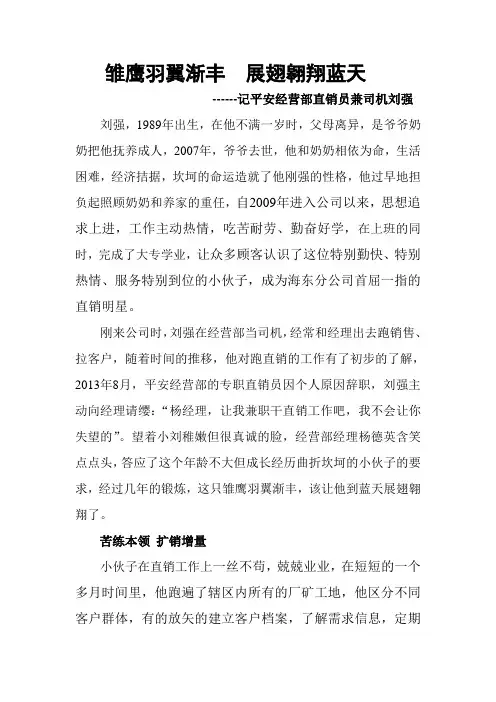 雏鹰羽翼渐丰,展翅翱翔蓝天。