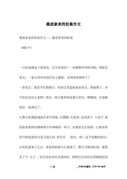 跑进家来的松鼠作文