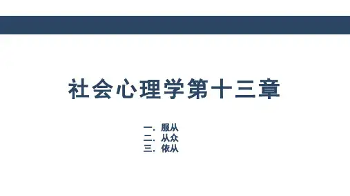 社会心理学第十三章