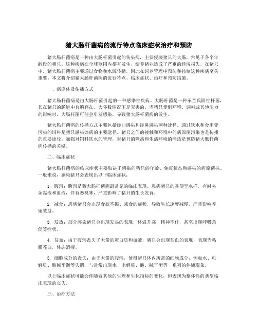 猪大肠杆菌病的流行特点临床症状治疗和预防