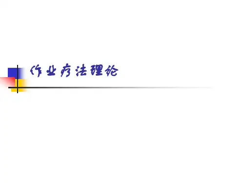 作业疗法理论