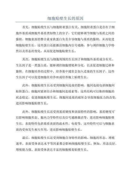 细胞贴壁生长的原因