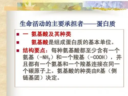 蛋白质核酸PPT课件