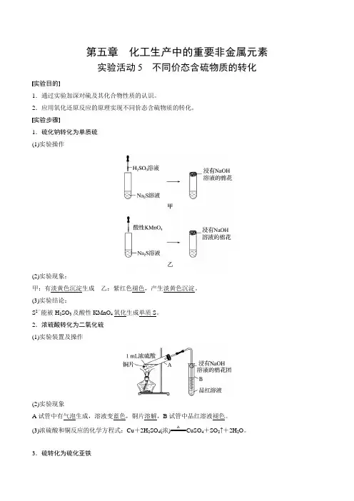 实验活动5 不同价态含硫物质的转化-高一化学同步教学讲义(解析版)
