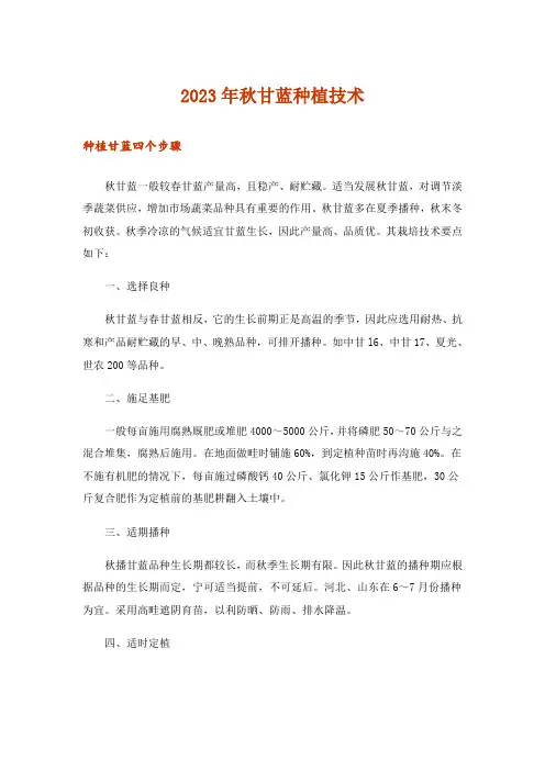 2023年杂谈_秋甘蓝种植技术