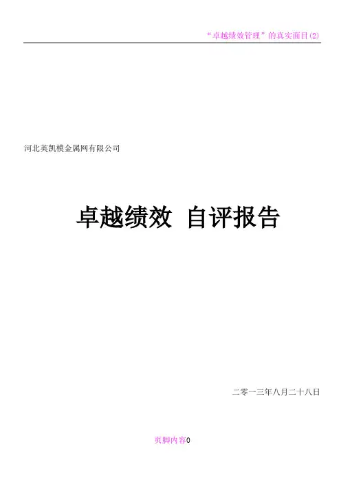 卓越绩效自评报告(完整版)