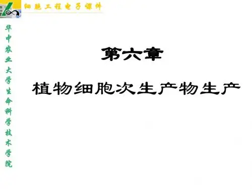 植物细胞工程课件第六章植物细胞次生产物生产