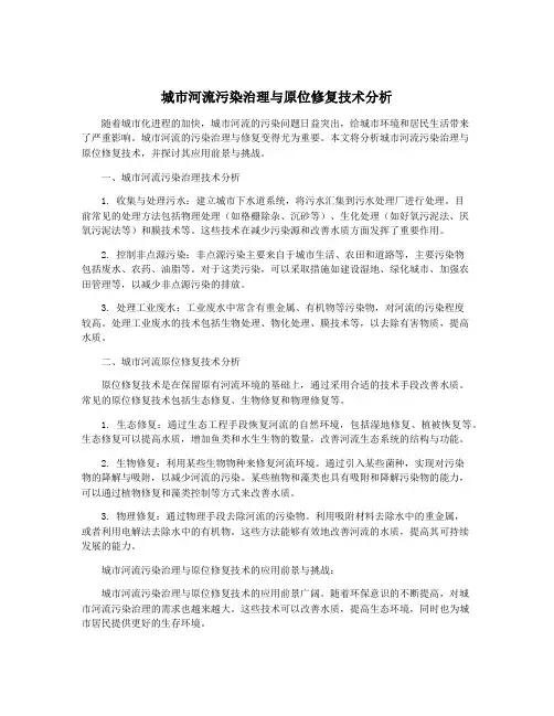 城市河流污染治理与原位修复技术分析