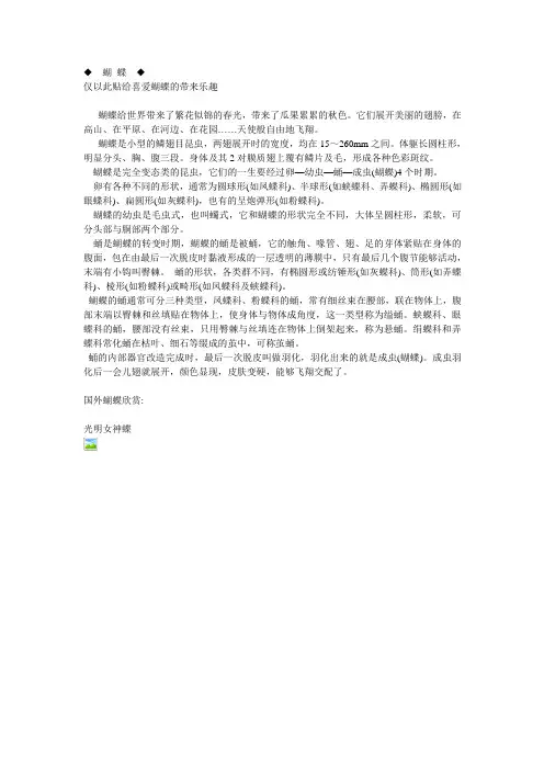蝴 蝶分类大全