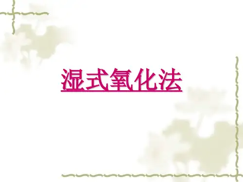 湿式氧化法.ppt