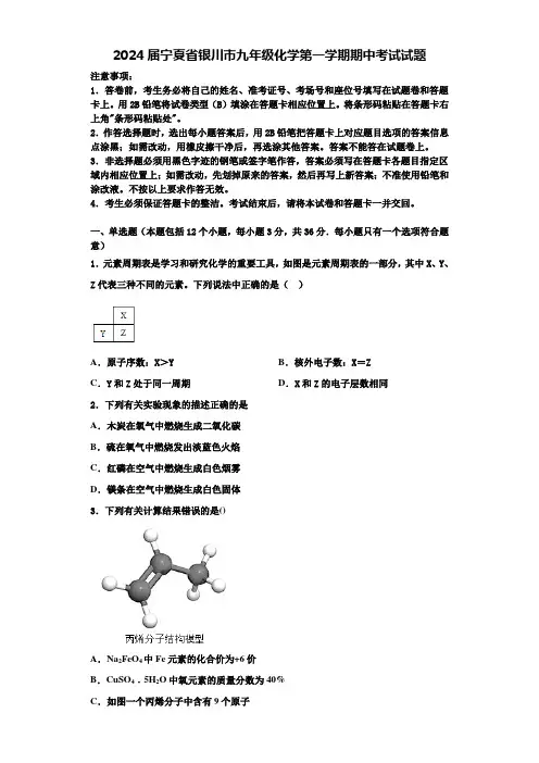 2024届宁夏省银川市九年级化学第一学期期中考试试题含解析