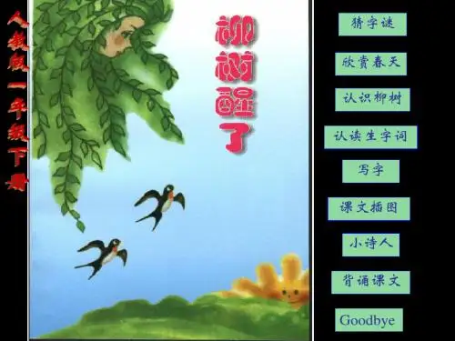 柳树醒了-ppt课件1 31页PPT文档