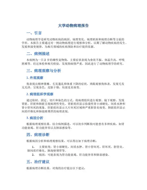 大学动物病理报告