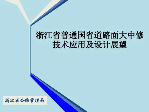 浙江省普通国省道路面大中修技术
