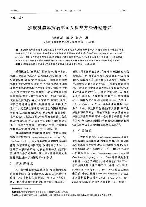 猕猴桃溃疡病病原菌及检测方法研究进展
