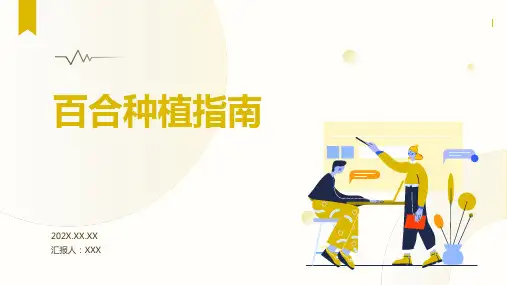 百合怎么种植ppt