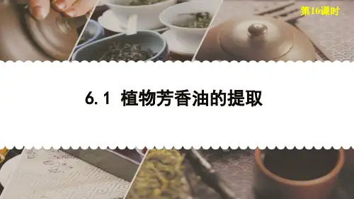 高中生物选修1精品课件6：6.1 植物芳香油的提取