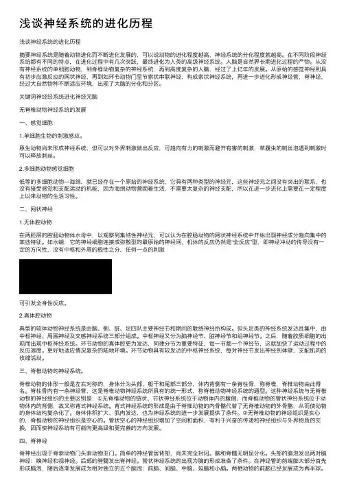 浅谈神经系统的进化历程