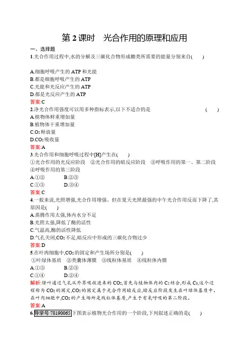 人教版高中生物必修一练习题5.4.2光合作用的原理和应用含解析