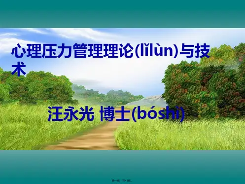 新版精品心理压力管理的理论与技术(ppt资料)