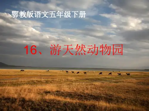 五年级下册语文课件-6.1 游天然动物园｜鄂教版(共17张PPT)