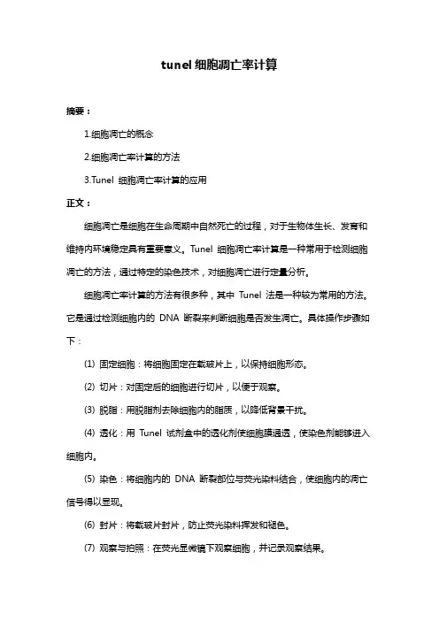 tunel细胞凋亡率计算
