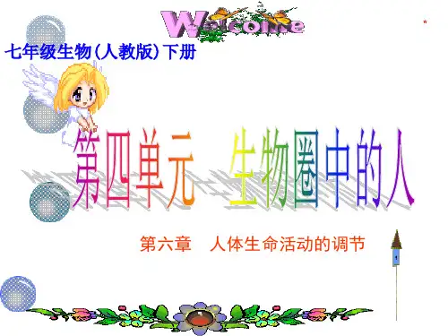 第六章 人体生命活动的调节复习课件