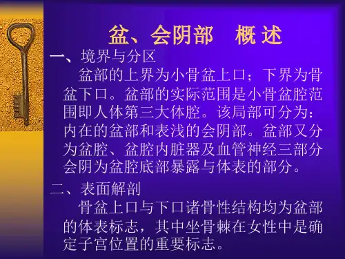 盆腔、会阴