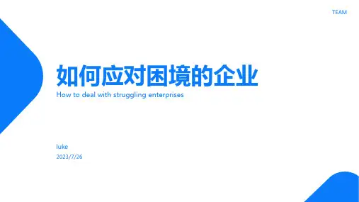 2023年为什么我国企业既难大也难强文档