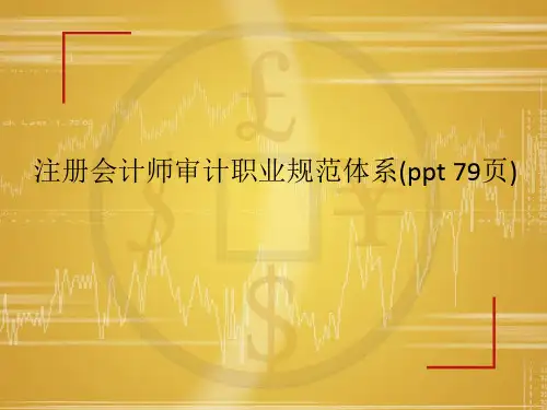 注册会计师审计职业规范体系