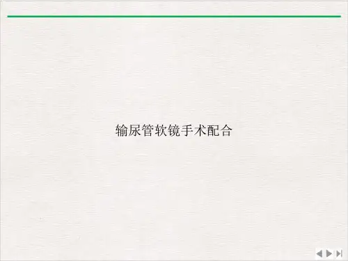输尿管软镜手术配合ppt实用版
